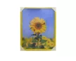 KLS Mylar falikép 40x50