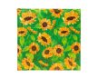 Goldbuch Sunflower 25x25 fotóalbum zöld