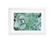 Goldbuch Your Gallery - Succulent műanyag képkeret 13x18