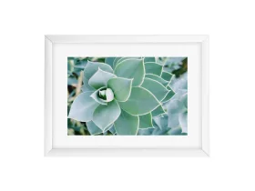 Goldbuch Your Gallery - Succulent műanyag képkeret 13x18