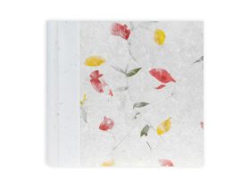 Zep Tibet 20/24x24 album