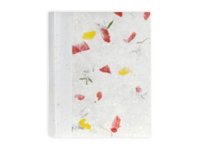 Zep Tibet 30/24x32 album