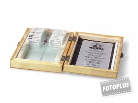 Konus prep. mikroszkóphoz - trópusi növény