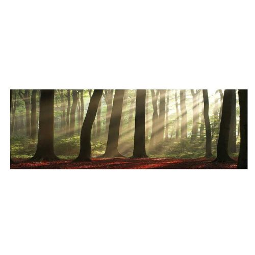 Innova Forest Morning 40x12 üveges falikép