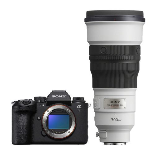 Sony Alpha 1 Mark II + SEL 300mm f/2.8 GM OSS Kit