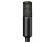 Sony C-100 Condenser Microphone
