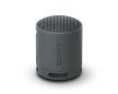Sony SRSXB100B BT Speaker - Black