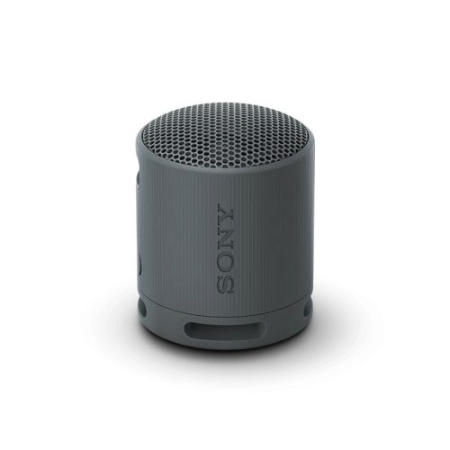 Sony SRSXB100B BT Speaker - Black