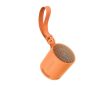 Sony SRSXB100D BT Speaker - Orange