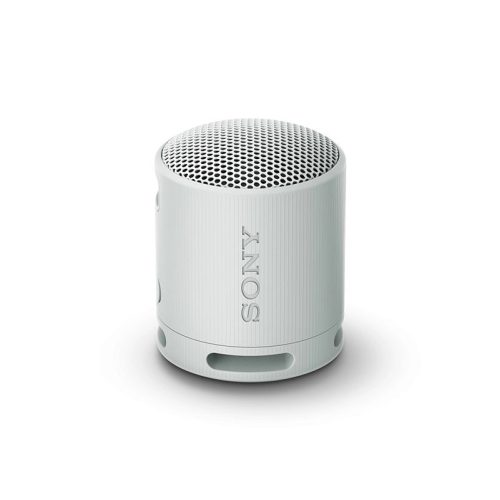 Sony SRSXB100H BT Speaker - Grey