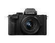 Panasonic Lumix G100D + G Vario 12-32mm f/3.5-5.6 kit