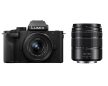 Panasonic Lumix G100D + G Vario 12-32mm f/3.5-5.6 + G Vario 45-150mm f/4.0-5.6 kit