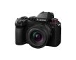 Panasonic Lumix S5D + S 18-40 mm f/4.5–6.3 kit