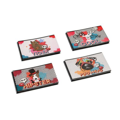 Walther Mini Memories Cool 40/10x15