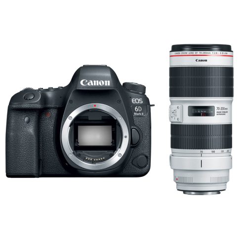 Canon EOS 6D Mark II + EF 70-200 f/2.8L IS III USM