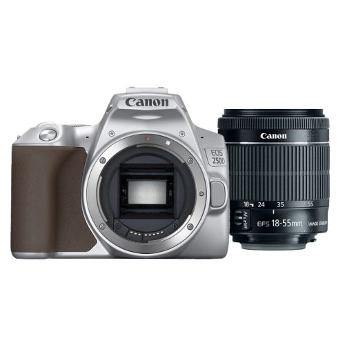Canon EOS 250D ezüst + EF-S 18-55mm f/4-5.6 IS STM