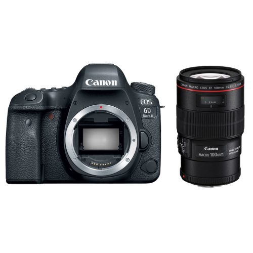 Canon EOS 6D Mark II + EF 100 f/2.8L IS USM Macro