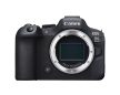 Canon EOS R6 Mark II V5 + RF 24-105 f4 L IS USM