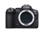 Canon EOS R6 Mark II V5 + RF 24-105 f4 L IS USM