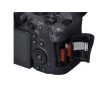 Canon EOS R6 Mark II V5 + RF 24-105 f4 L IS USM