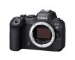 Canon EOS R6 Mark II V5 + RF 24-105 f4 L IS USM