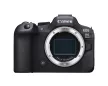 Canon EOS R6 Mark II V5 + RF 24-105 f4-7.1 IS STM