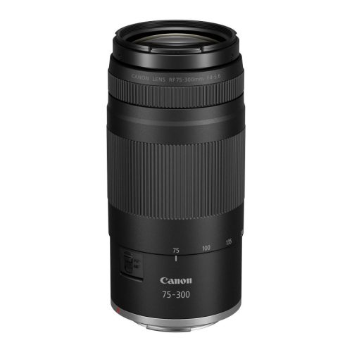 Canon RF 75-300mm f/4-5.6 Lens