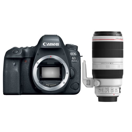 Canon EOS 6D Mark II + EF 100-400 f/4.5-5.6L IS II USM