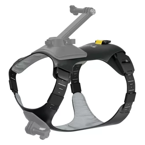 Insta360 kisállat hám kameratartó, M méret