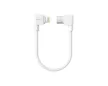 Insta360 Flow 2 Pro USB-C To Lightning Charge Cable