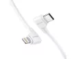 Insta360 Flow 2 Pro USB-C To Lightning Charge Cable