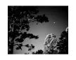 Rollei Infrared 10x12 cm fekete-fehér negatív síkfilm, 25 lapos csomag