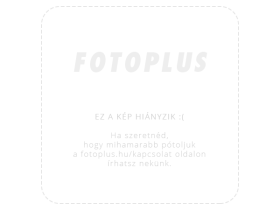 Nikon Z 70-200 F2.8 VR (Használt termék)