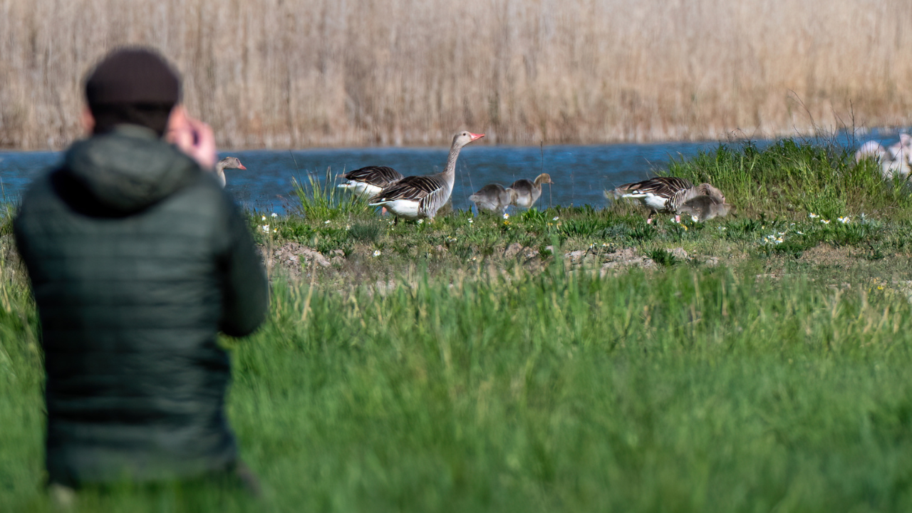 Dr. Boromisza Zsombor Nikon Z50 II természetfotós teszt közben