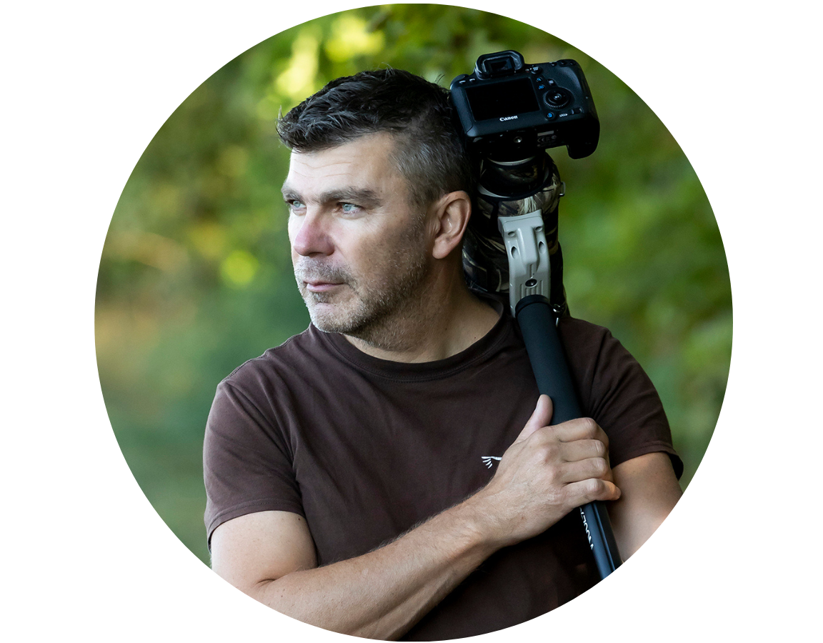 Tóth László ttermészetfotós, vadfotós