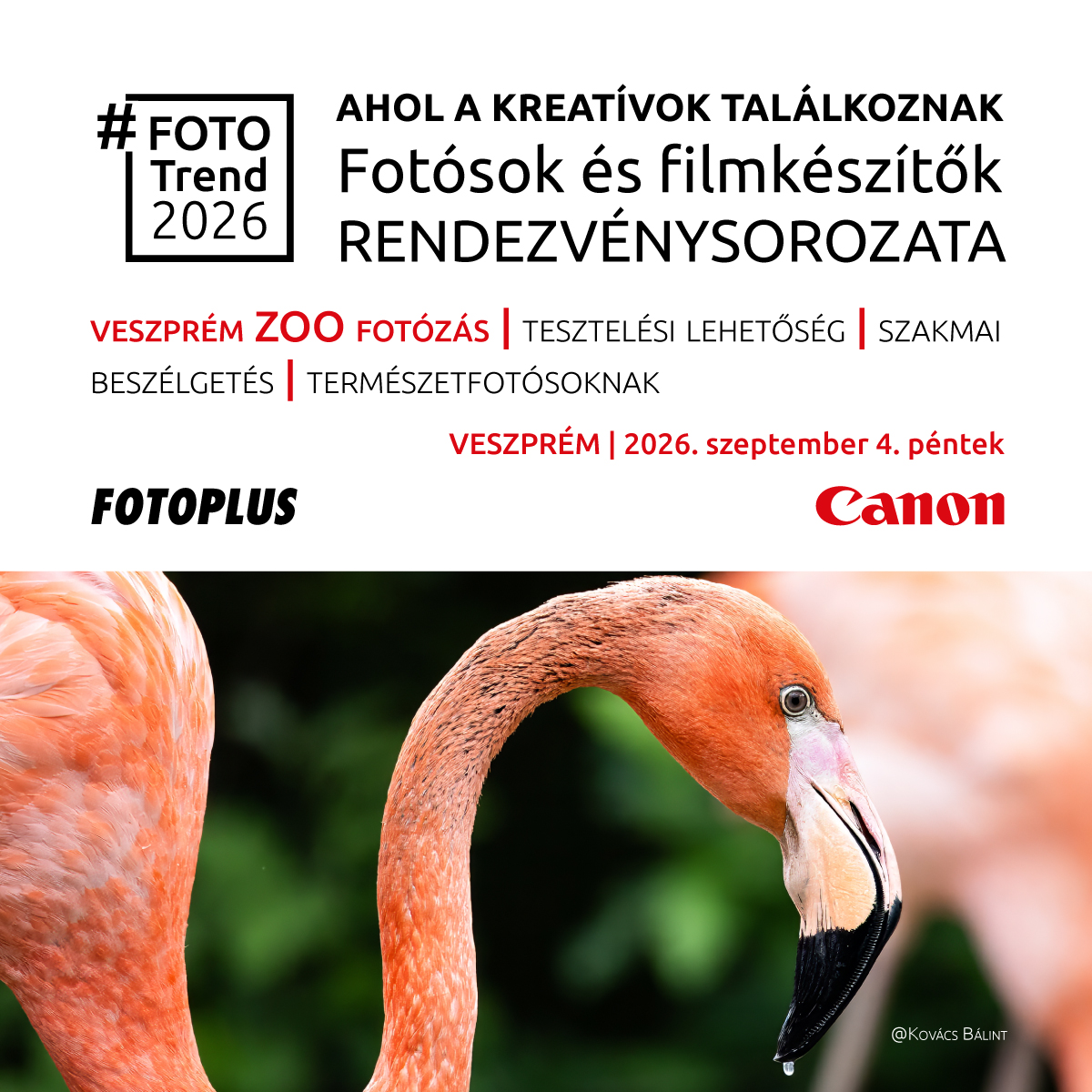 CANON x FOTOPLUS - Veszprém ZOO #FOTOTREND2026