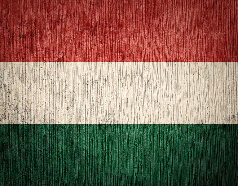 Ünnepi nyitvatartási és rendelési információk - 2024 december