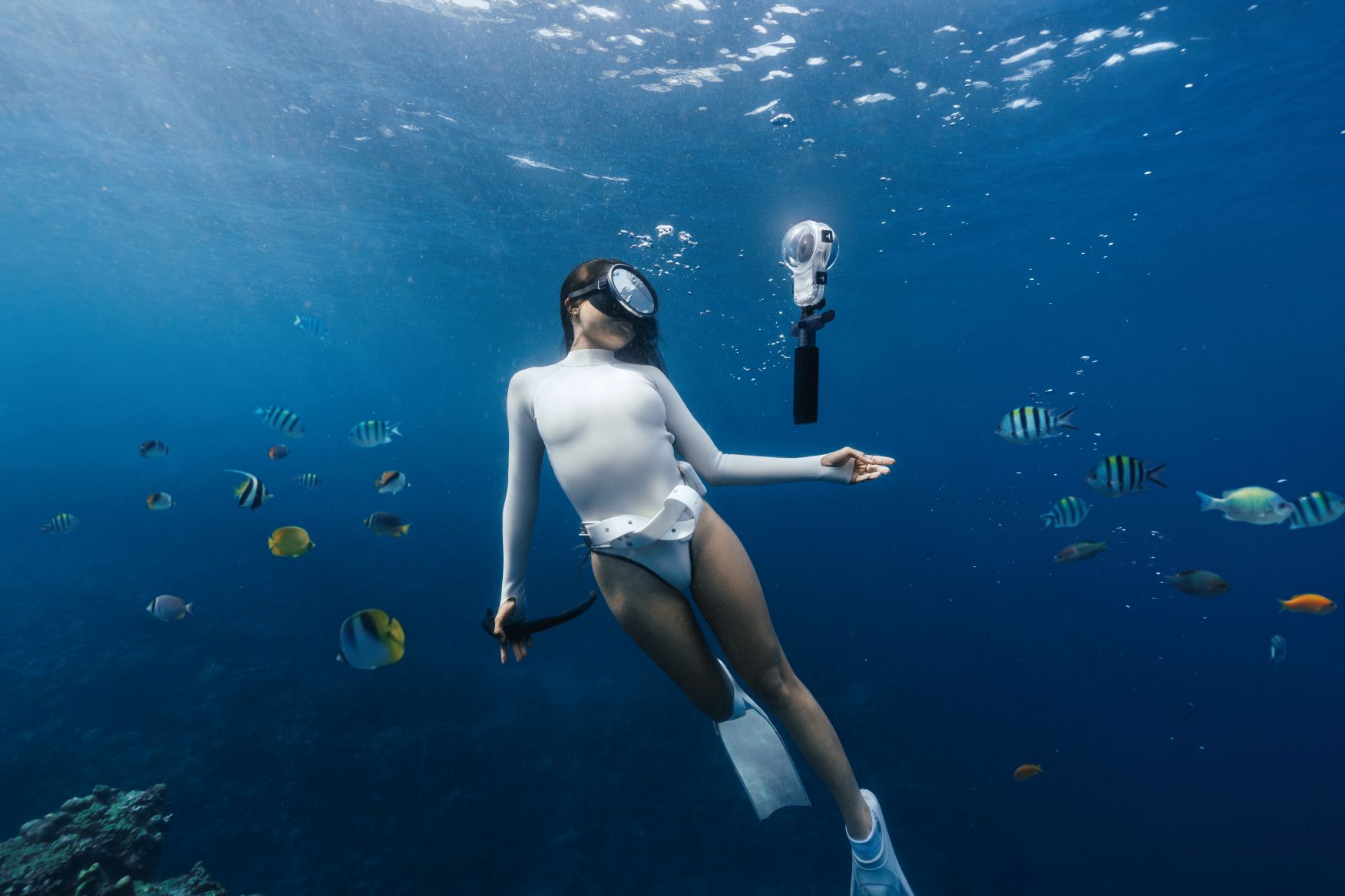X6Diving2.jpg