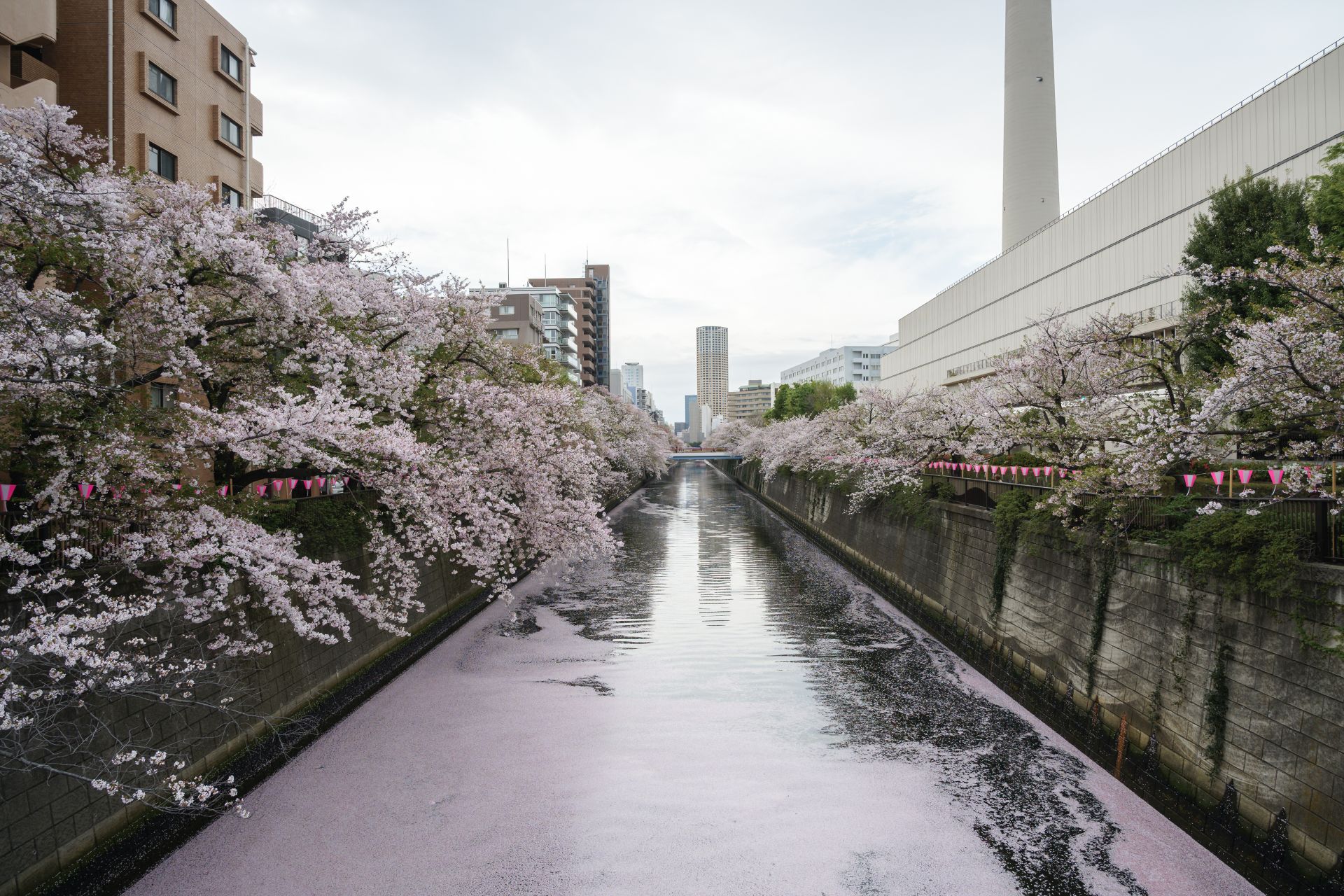 KayokoNemoto_ExamplePhoto_024.jpg