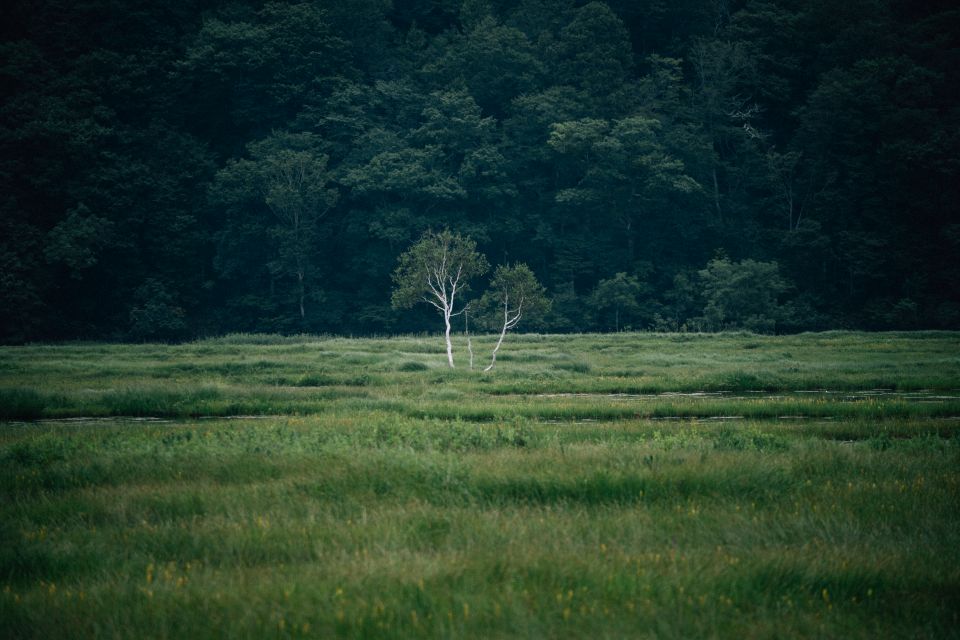 NaokiMiyashita_ImpressionPhoto_010.jpg