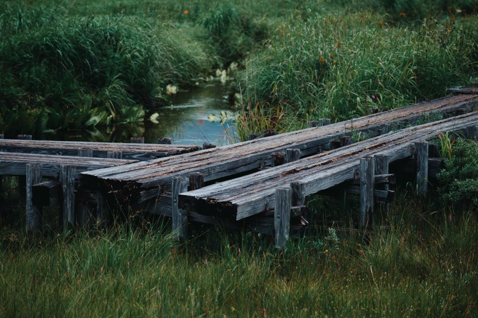 NaokiMiyashita_ImpressionPhoto_017.jpg