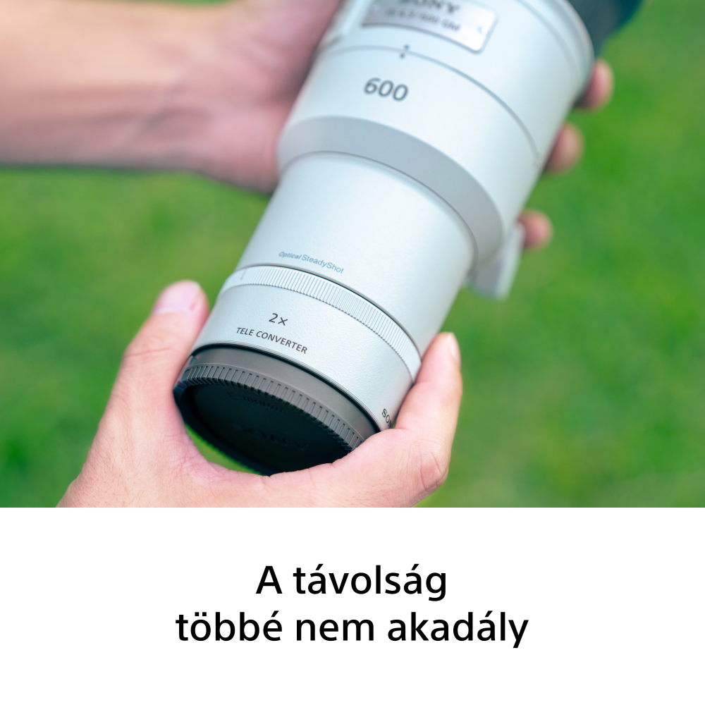 08.png